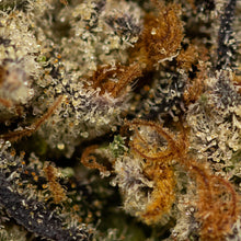 Charger l'image dans la galerie, Life Hack-03