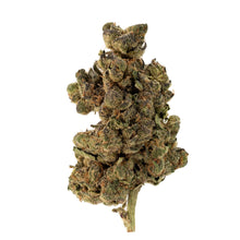 Load image into Gallery viewer, Mac Fritter-01