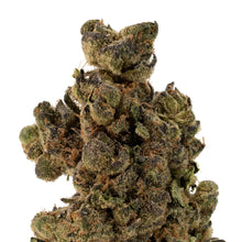 Charger l'image dans la galerie, Mac Fritter-02