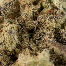 Charger l'image dans la galerie, Mac 1-03