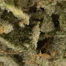 Charger l'image dans la galerie, Mendoz Stomper-04