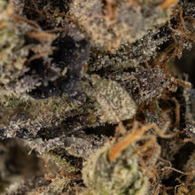 Charger l'image dans la galerie, Island Pink Kush-03