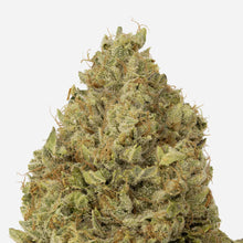 Charger l'image dans la galerie, Rainbow Driver-02