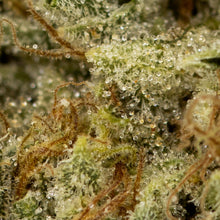 Charger l'image dans la galerie, Rainbow Driver-03