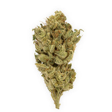 Charger l'image dans la galerie, Rocketpac-01