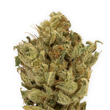 Charger l'image dans la galerie, Rocketpac-02