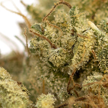 Charger l'image dans la galerie, Rocketpac-03