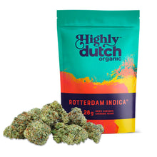 Load image into Gallery viewer, Rotterdam Indica-02