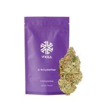 Charger l'image dans la galerie, Viola Al '96-01