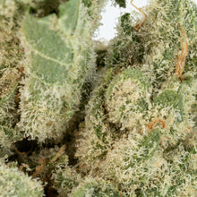 Charger l'image dans la galerie, White Runtz-03