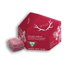 Charger l'image dans la galerie, Real Fruit Raspberry Gummies-01