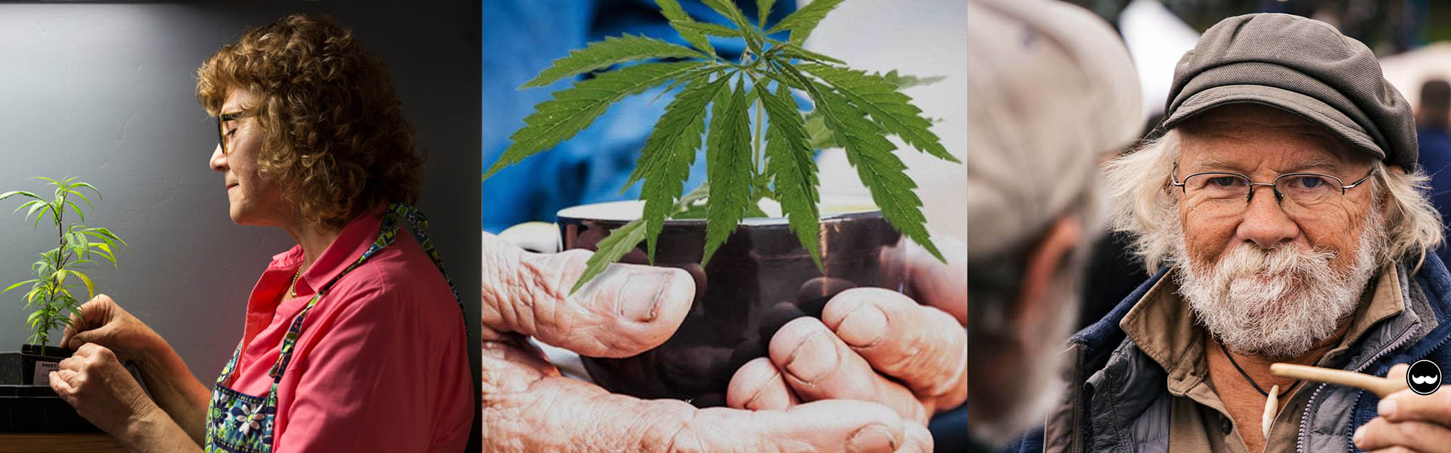 The Definitive Cannabis Guide For Seniors
