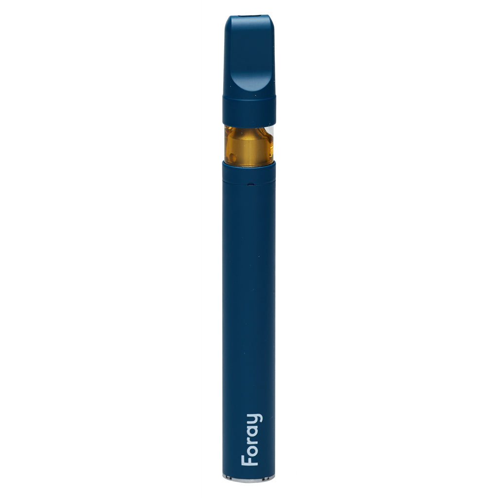 Blueberry GLTO CBN AIO Disposable Vape-01