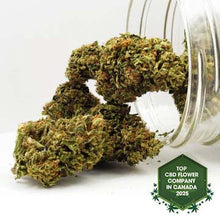 Charger l&#39;image dans la galerie, Day Dreamin&#39; Infused CBD Flower-01
