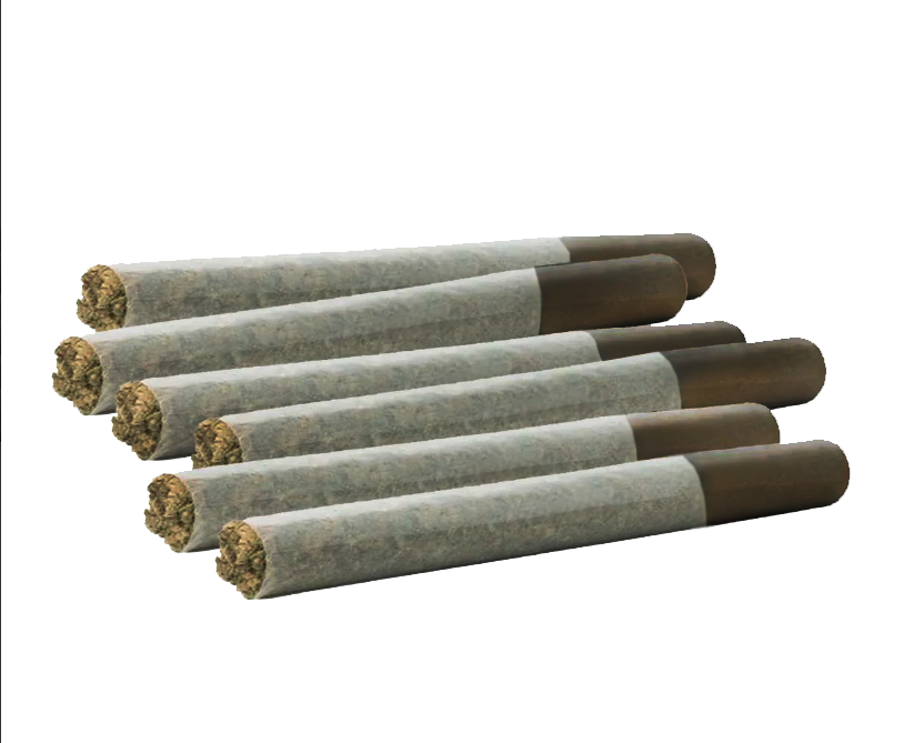 Timewarp Magic Pre-Rolls-01