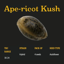 Load image into Gallery viewer, Ape-ricot Kush Autoflower Seeds-02
