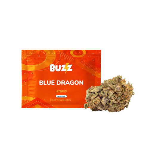 Blue Dragon-01
