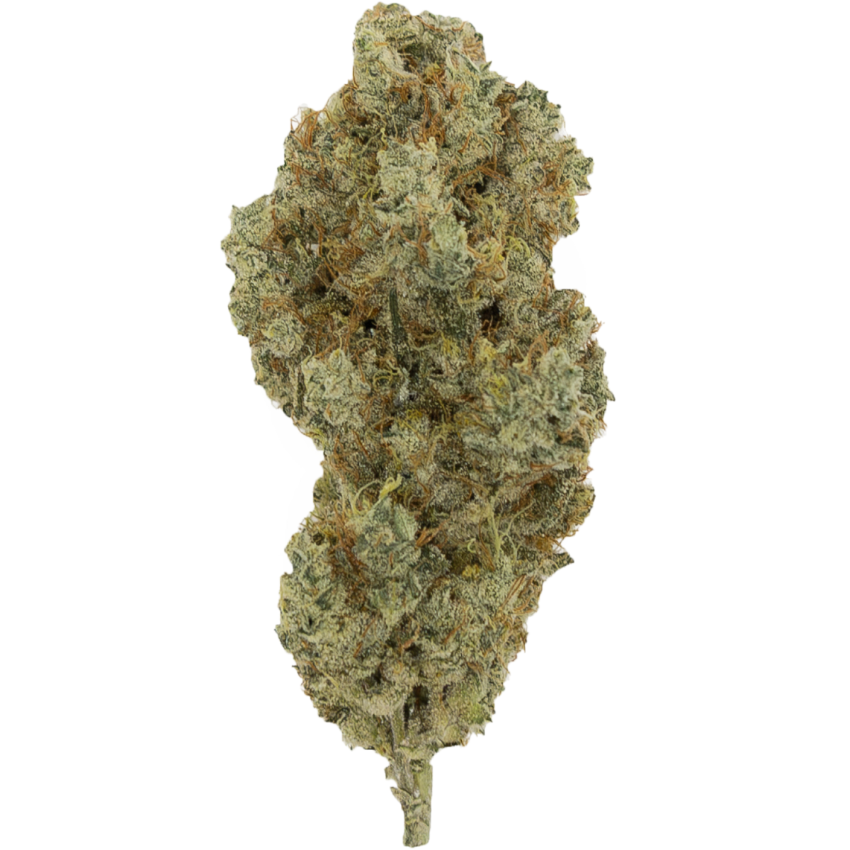 Cactus Milk – Stash Club