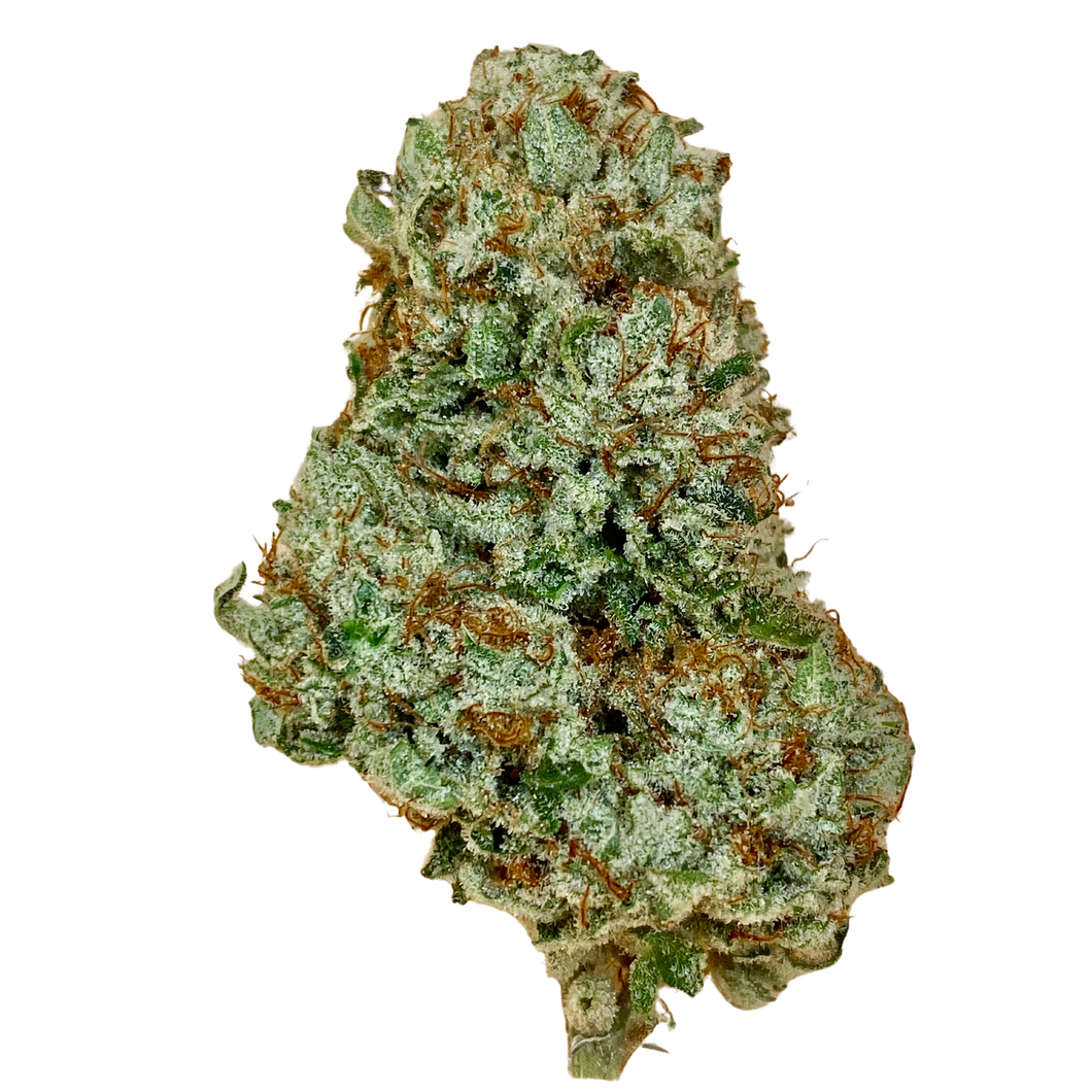 Organic Chocolate Diesel-01