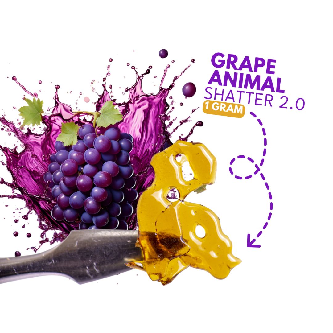 Grape Animal Shatter 2.0-01