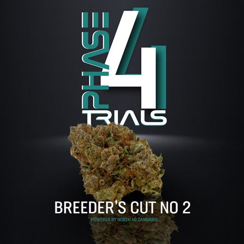 Phase 4 Trials Breeders Cut #2 Flower-01