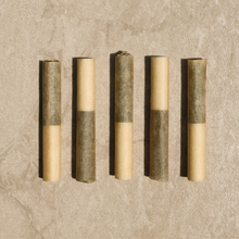 Charger l&#39;image dans la galerie, Refresh™ - CBG + CBD 210 Citrus Orange Terpene Infused Pre-Rolls-02
