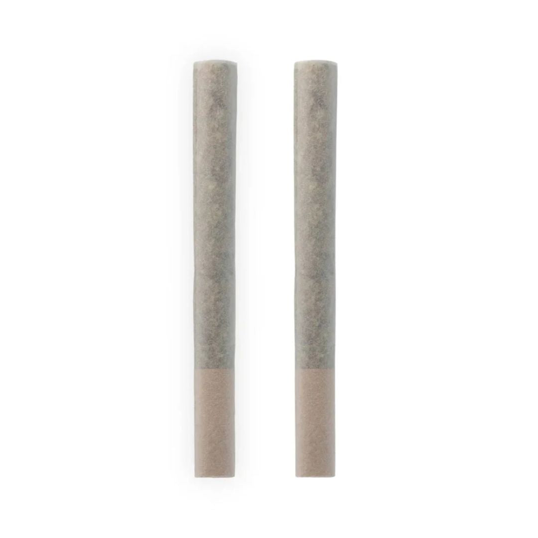 Romulan Timewarp Pre-Rolls-01