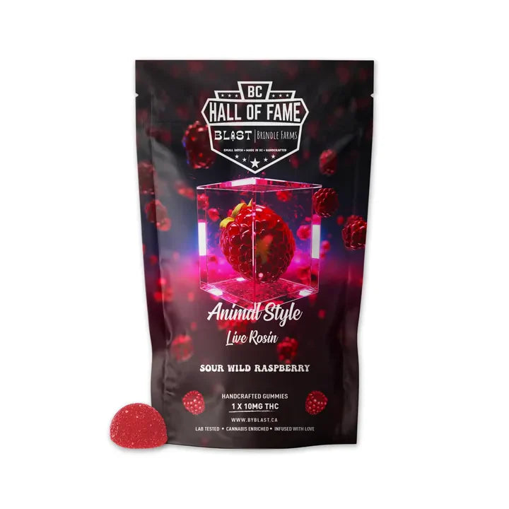 Sour Wild Raspberry Animal Style Live Rosin Chew – Stash Club