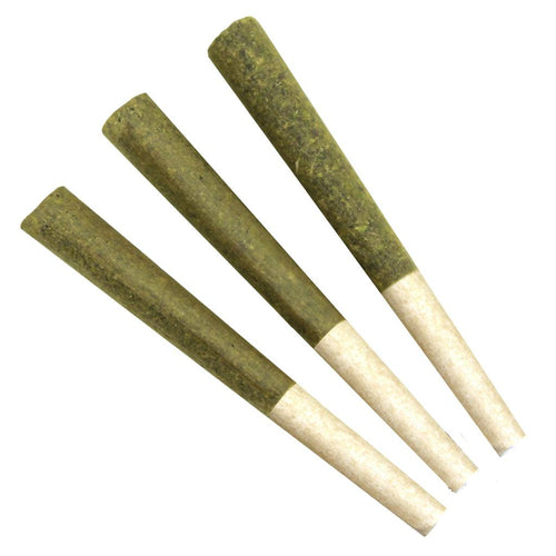 Timewarp Dream Pre-Rolls-01