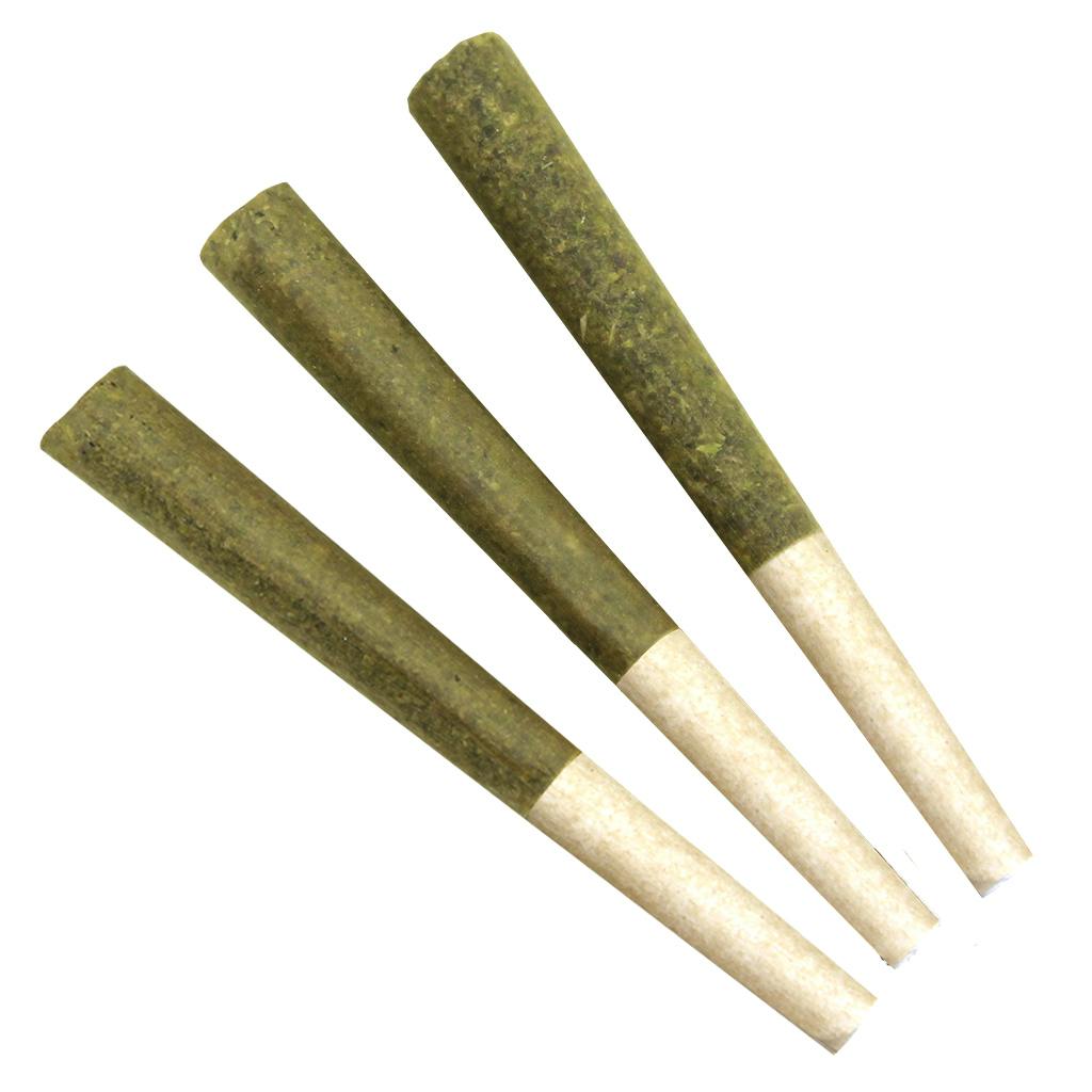 Timewarp Dream Pre-Rolls-01