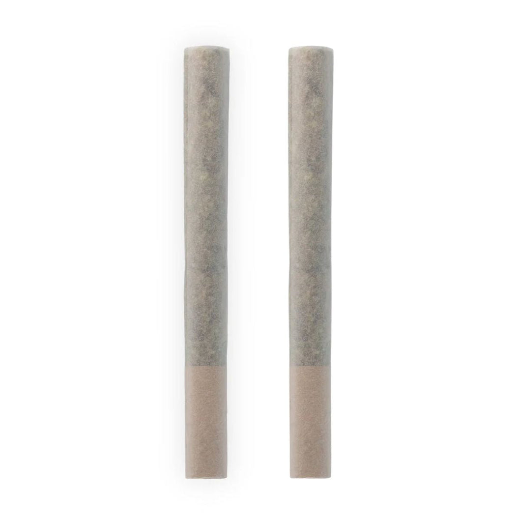 Avgas Pre-Rolls-01