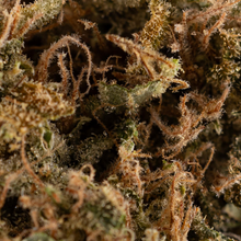 Load image into Gallery viewer, Sour Tangie-04

